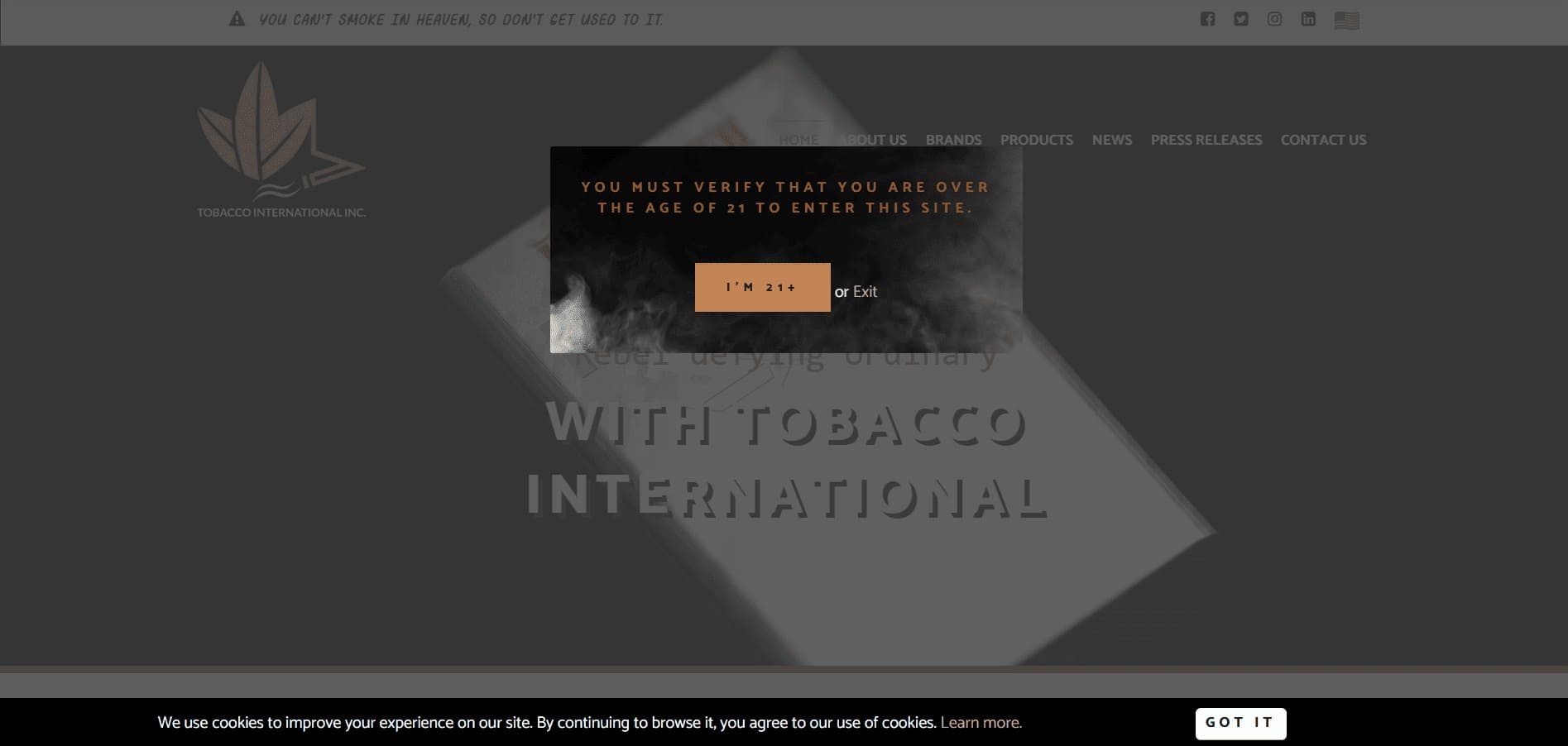 Tiglobe Website